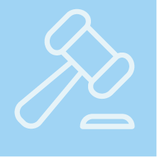Domain Auction